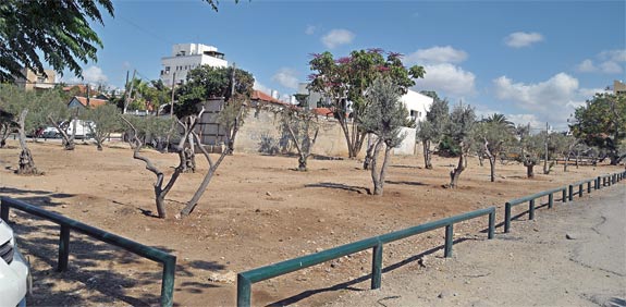 מגרש בשכונת שפירא / צלם: תמר מצפי